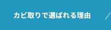 カビ取りで選ばれる理由